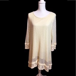 Ali Miles Boho Cottage Core Ivory Semi Sheer Fully Lined Lace Dress Size XL